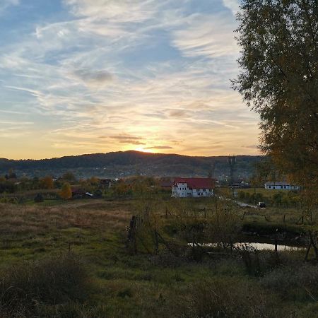 Casa Kotys Lejlighed Albestii Paminteni Eksteriør billede