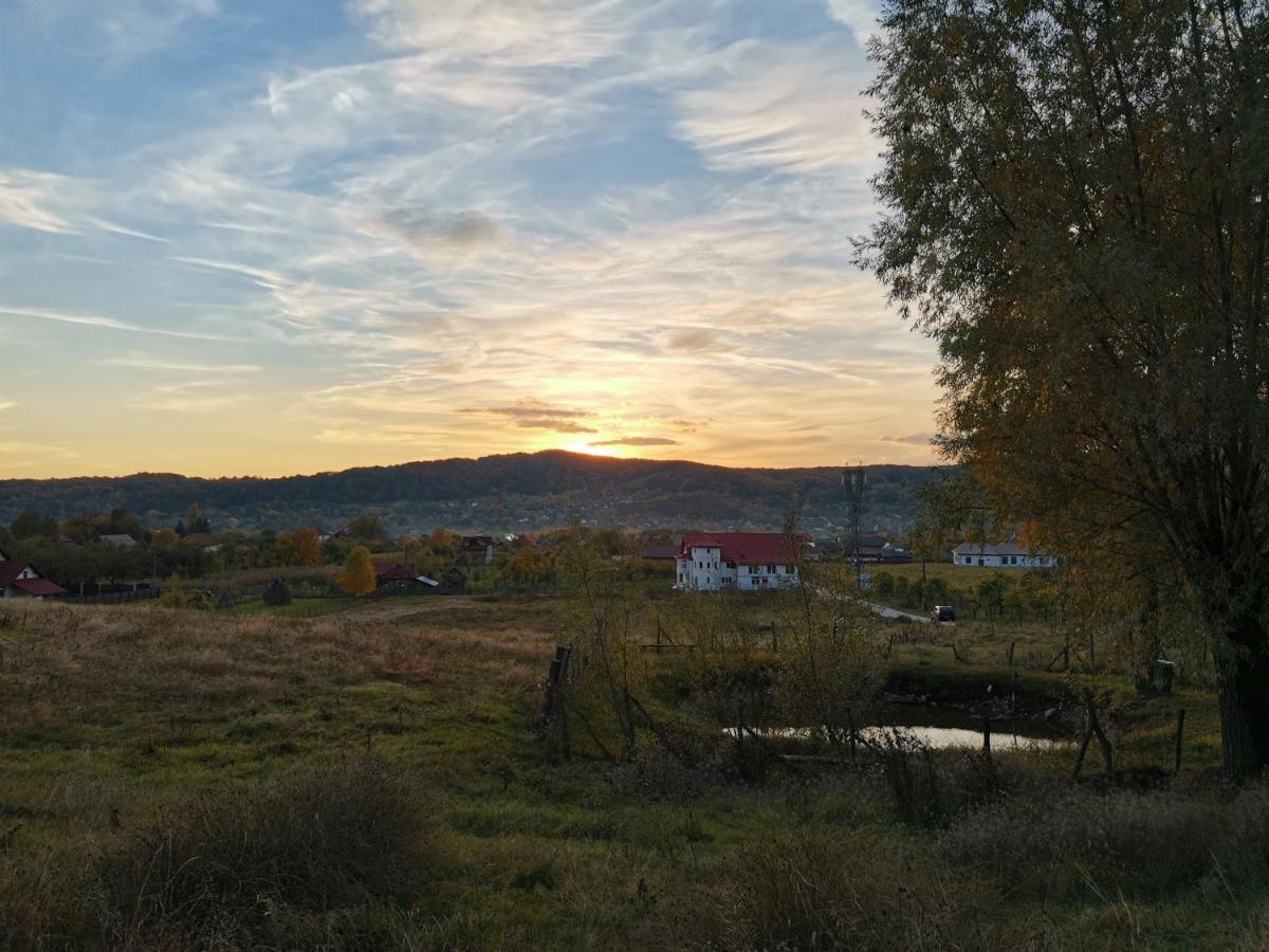 Casa Kotys Lejlighed Albestii Paminteni Eksteriør billede