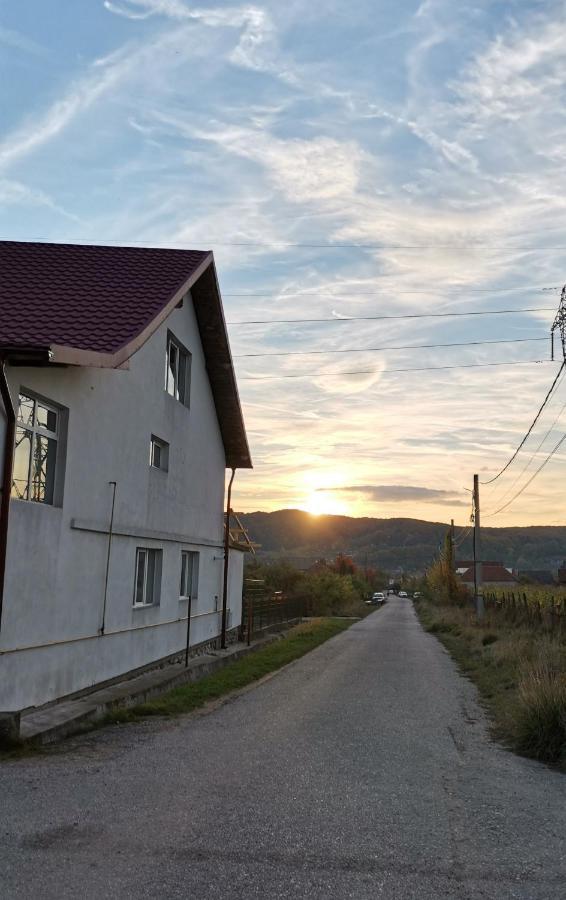 Casa Kotys Lejlighed Albestii Paminteni Eksteriør billede
